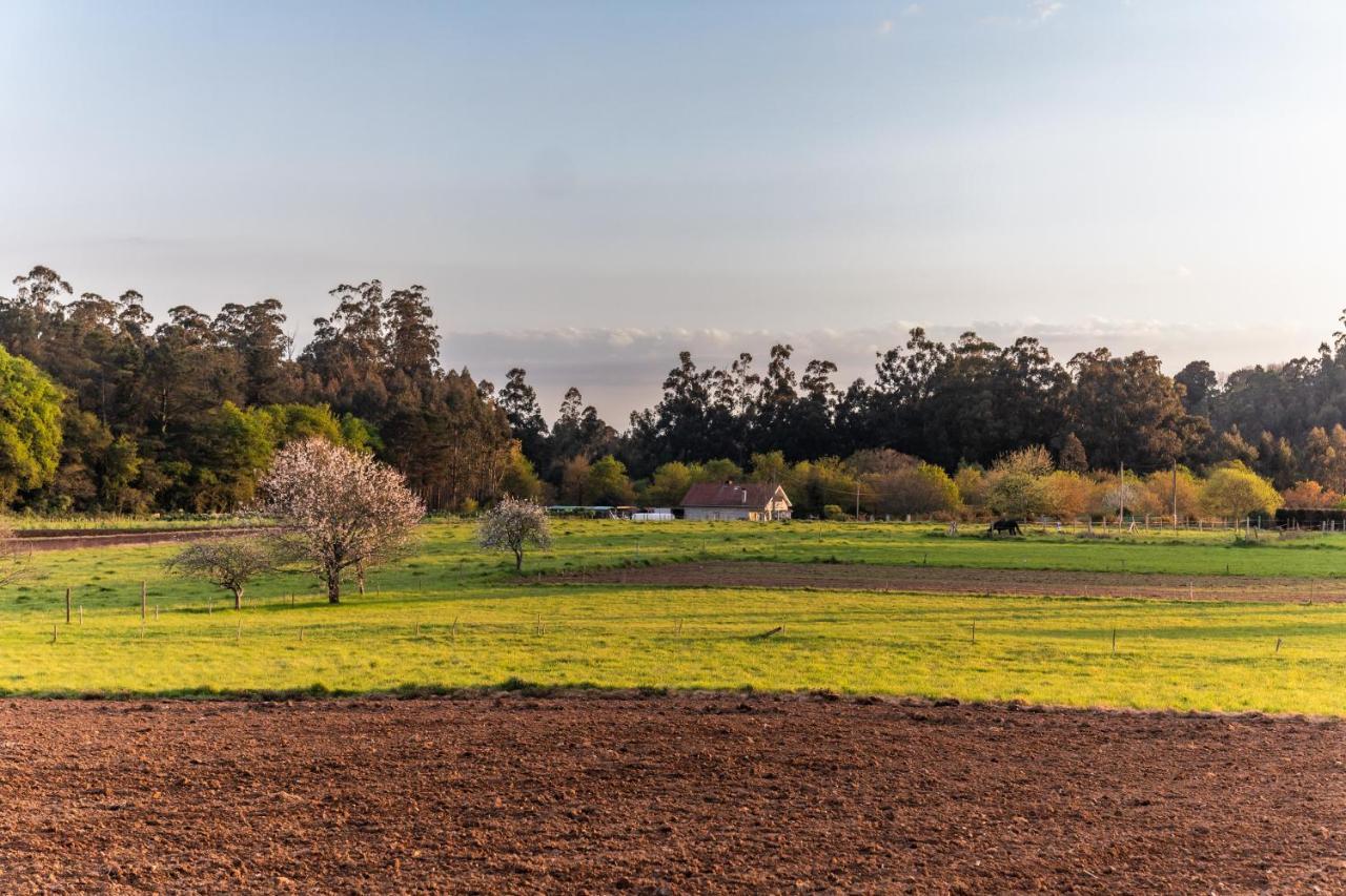 Albergue Espiritu Xacobeo O Pedrouzo Dış mekan fotoğraf